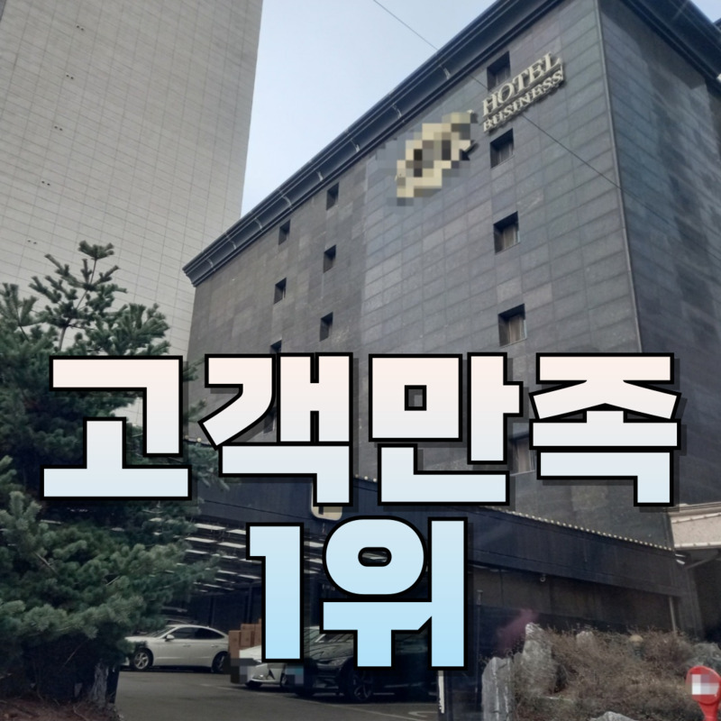 의뢰인 만조도 100%